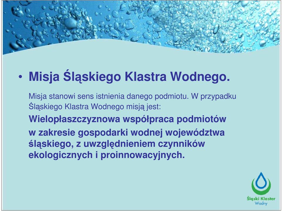 W przypadku Śląskiego Klastra Wodnego misją jest: Wielopłaszczyznowa