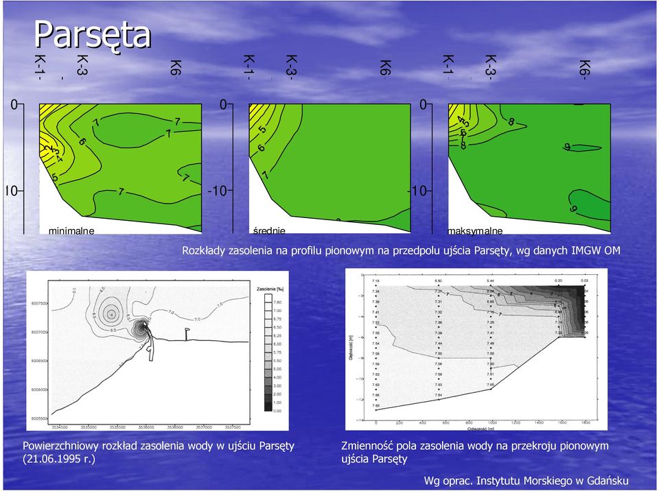 Powierzchniowy rozkład zasolenia wody w ujściu Parsęty (21.06.1995 r.