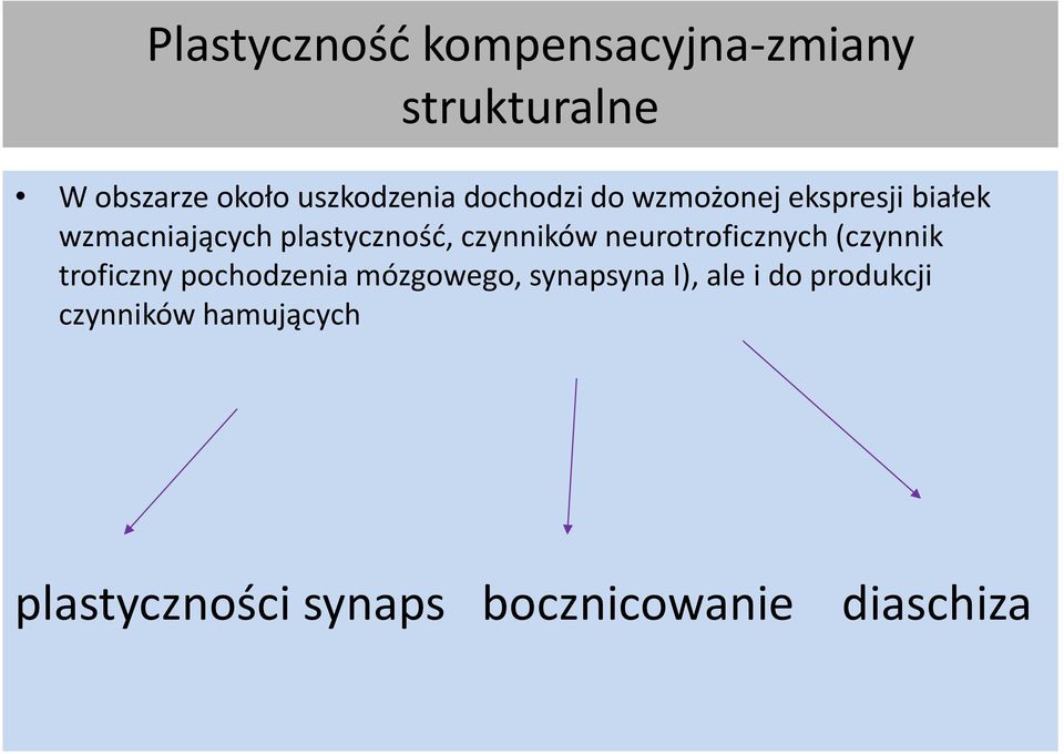 neurotroficznych (czynnik troficzny pochodzenia mózgowego, synapsyna I), ale