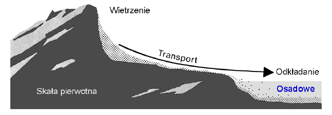 Ze względu na liczbę minerałów wchodzących w skład skały wyróżnia się skały: proste monomineralne, np.: wapień składający się z kalcytu złożone polimineralne, np.