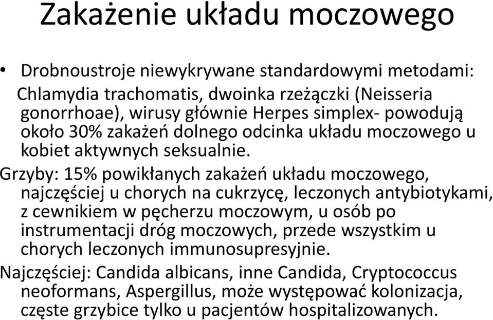 Grzyby: 15% powikłanych zakażeń układu moczowego, najczęściej u chorych na cukrzycę, leczonych antybiotykami, z cewnikiem w pęcherzu moczowym, u osób po instrumentacji