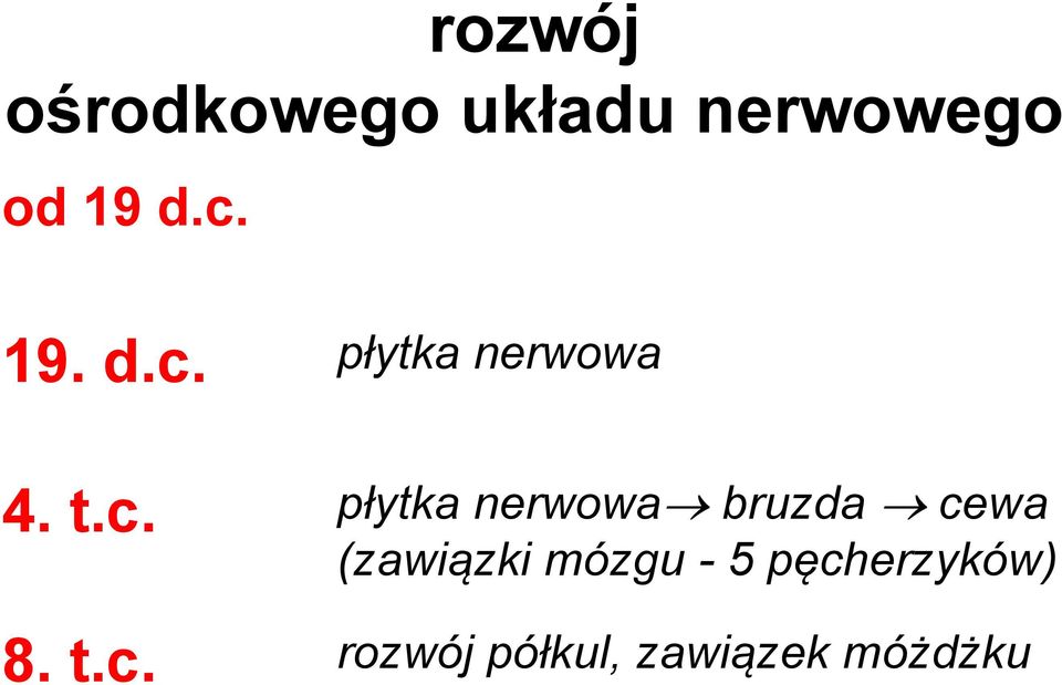 nerwowa bruzda cewa (zawiązki mózgu - 5