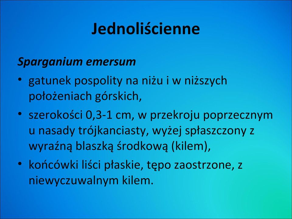 poprzecznym u nasady trójkanciasty, wyżej spłaszczony z wyraźną