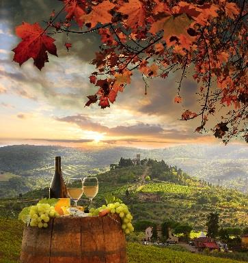 Rozproszenie Wina powstają najczęściej w regionach rolniczych, gdzie dominującą działalnością jest uprawa winorośli i produkcja wina.