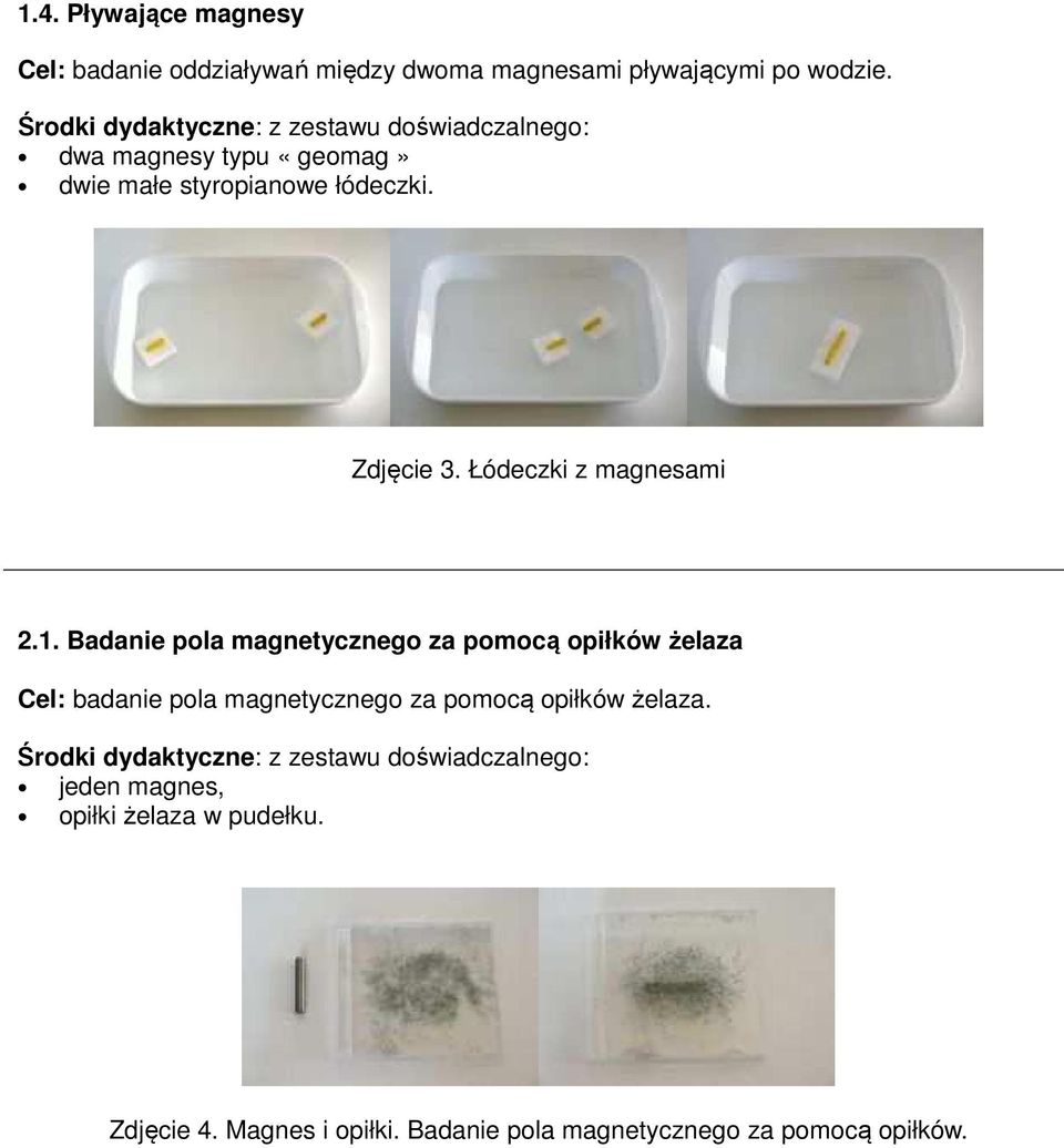 Badanie pola magnetycznego za pomocą opiłków żelaza Cel: badanie pola magnetycznego za pomocą opiłków