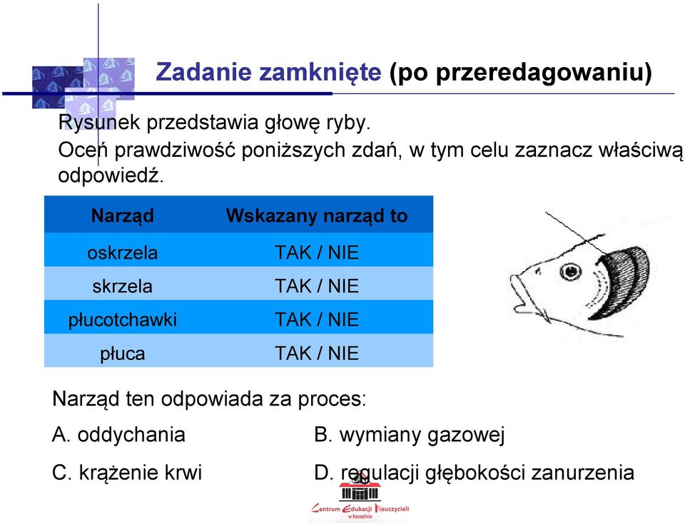 Narząd oskrzela skrzela płucotchawki płuca Wskazany narząd to TAK / NIE TAK / NIE TAK /