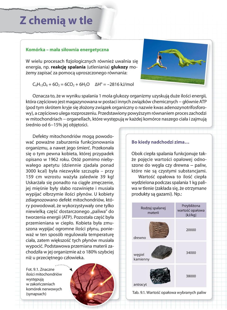 duże ilości energii, która częściowo jest magazynowana w postaci innych związków chemicznych głównie ATP (pod tym skrótem kryje się złożony związek organiczny o nazwie kwas adenozynotrifosforowy), a