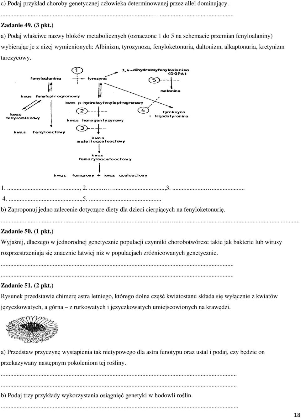 alkaptonuria, kretynizm tarczycowy. 1......., 2.......,3....... 4....,5.... b) Zaproponuj jedno zalecenie dotyczące diety dla dzieci cierpiących na fenyloketonurię....... Zadanie 50. (1 pkt.