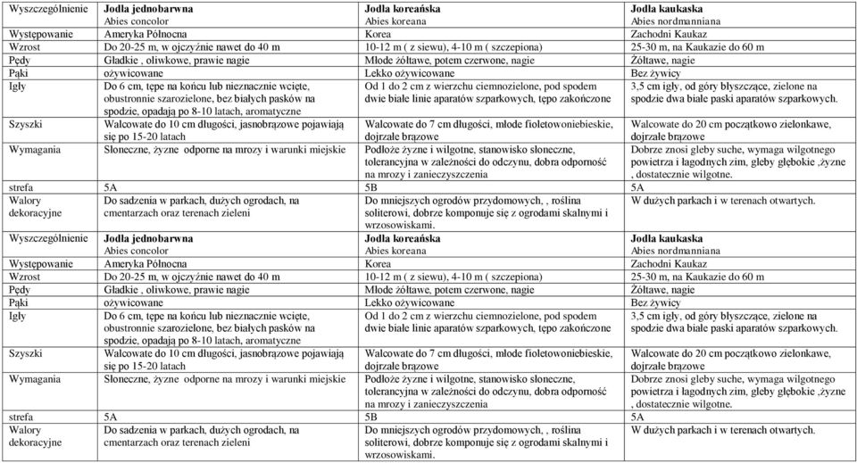 ożywicowane Bez żywicy Do 6 cm, tępe na końcu lub nieznacznie wcięte, obustronnie szarozielone, bez białych pasków na spodzie, opadają po 8-10 latach, aromatyczne Od 1 do 2 cm z wierzchu