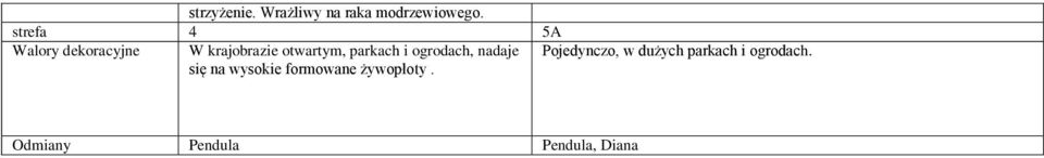 parkach i ogrodach, nadaje się na wysokie formowane