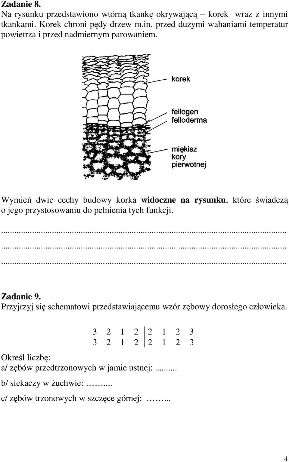 Wymień dwie cechy budowy korka widoczne na rysunku, które świadczą o jego przystosowaniu do pełnienia tych funkcji. Zadanie 9.