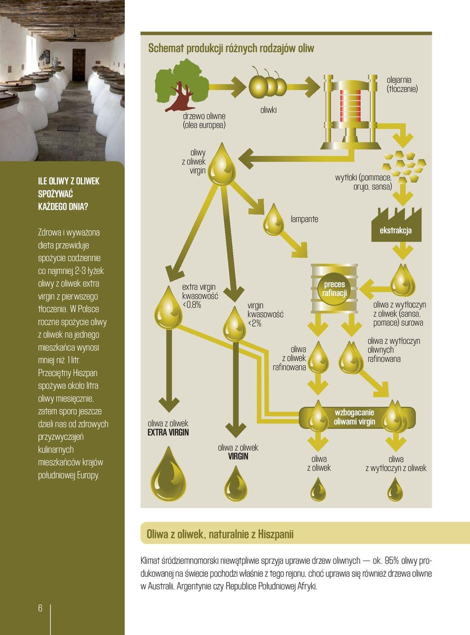 W Polsce roczne spożycie oliwy z oliwek na jednego mieszkańca wynosi mniej niż 1litr.