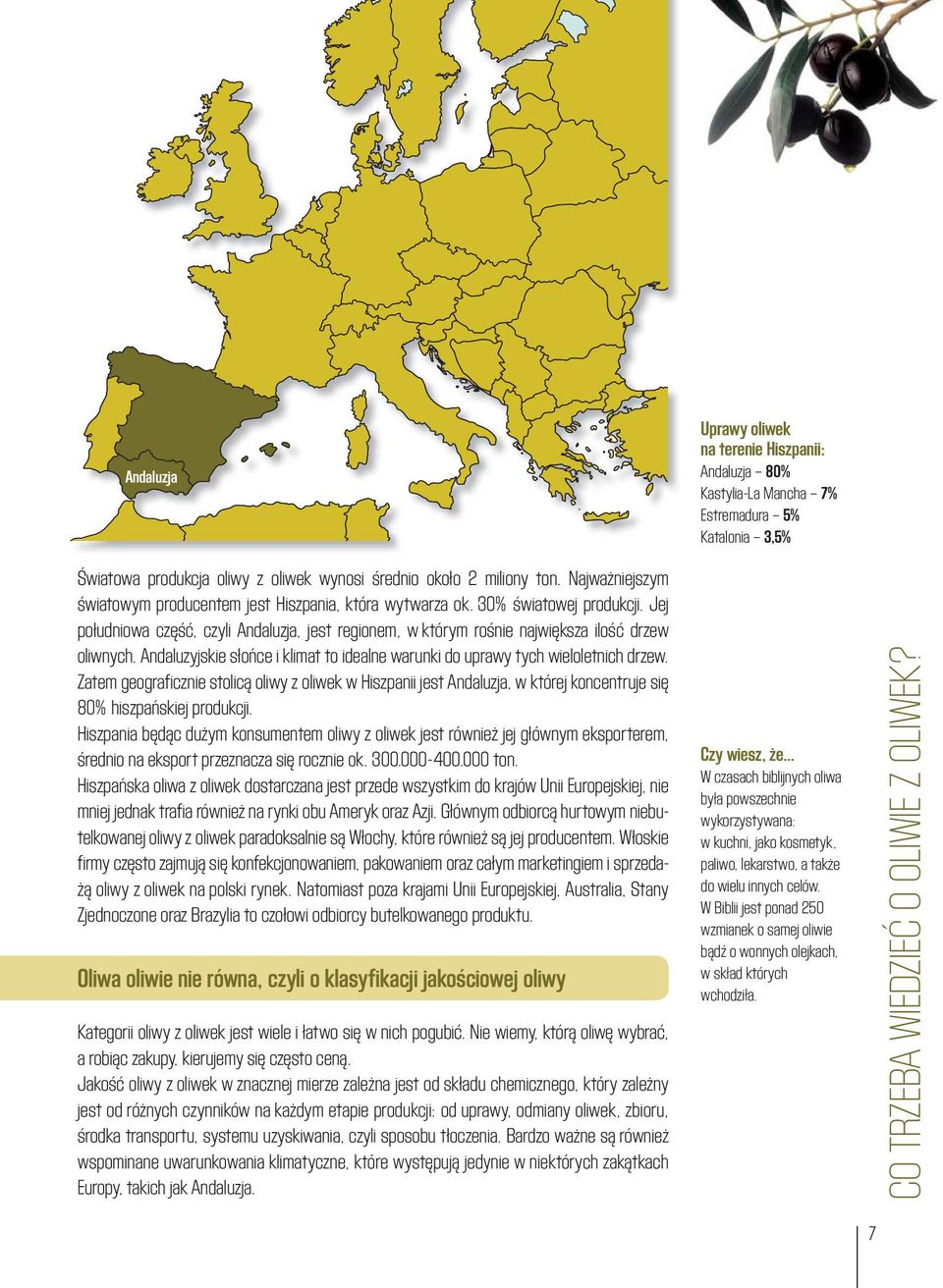 Zatem geograficznie stolicą oliwy z oliwek w Hiszpanii jest Andaluzja, w której koncentruje się 80% hiszpańskiej produkcji.