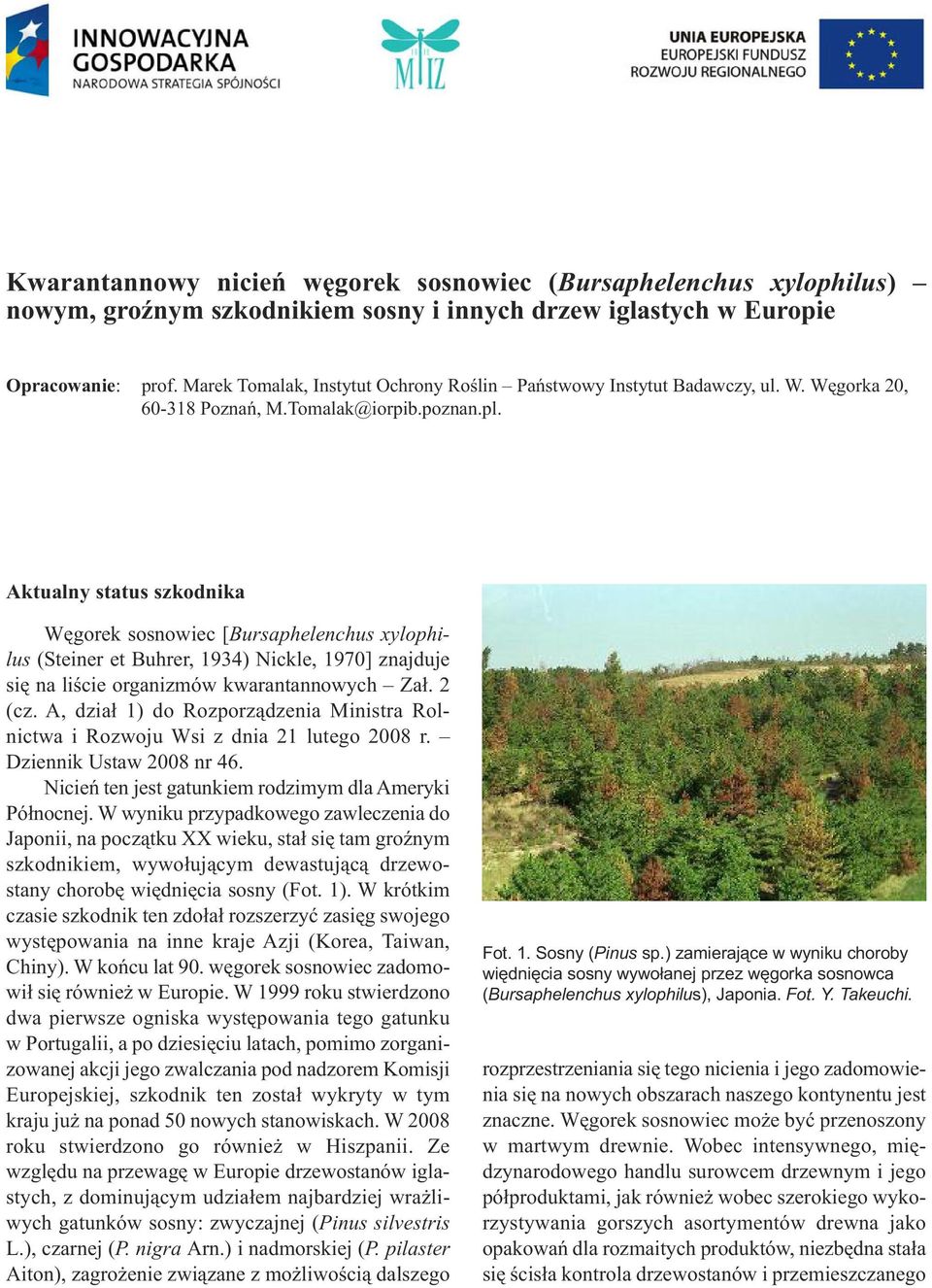 Aktualny status szkodnika Węgorek sosnowiec [Bursaphelenchus xylophilus (Steiner et Buhrer, 1934) Nickle, 1970] znajduje się na liście organizmów kwarantannowych Zał. 2 (cz.