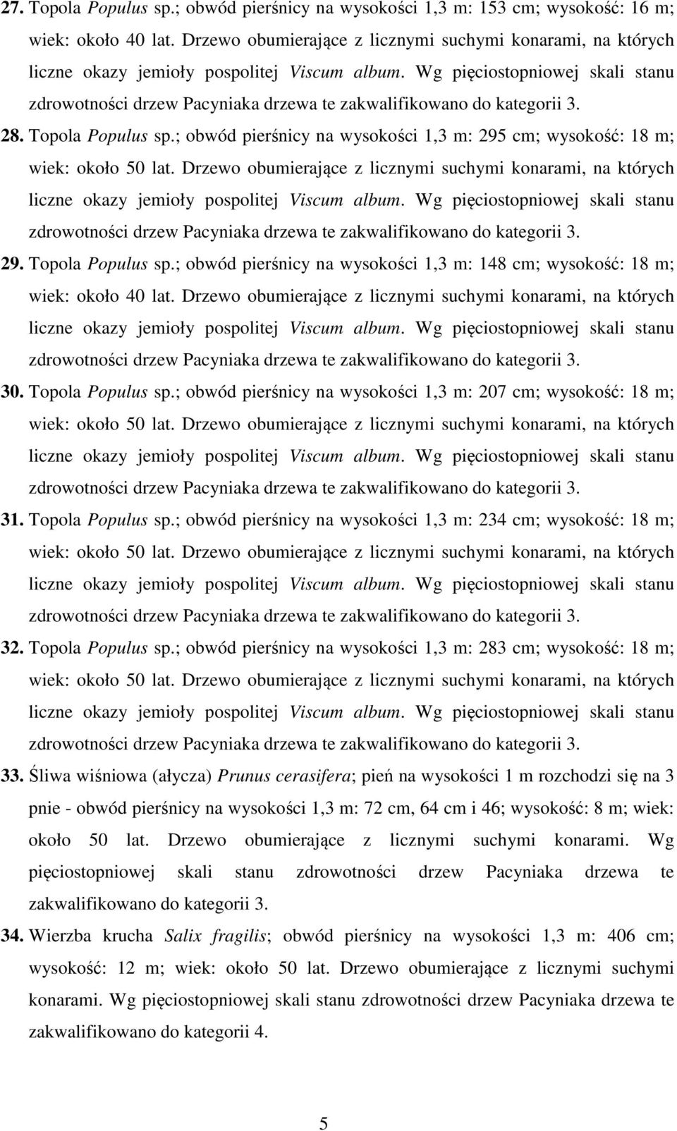 ; obwód pierśnicy na wysokości 1,3 m: 207 cm; wysokość: 18 m; 31. Topola Populus sp.; obwód pierśnicy na wysokości 1,3 m: 234 cm; wysokość: 18 m; 32. Topola Populus sp.; obwód pierśnicy na wysokości 1,3 m: 283 cm; wysokość: 18 m; 33.