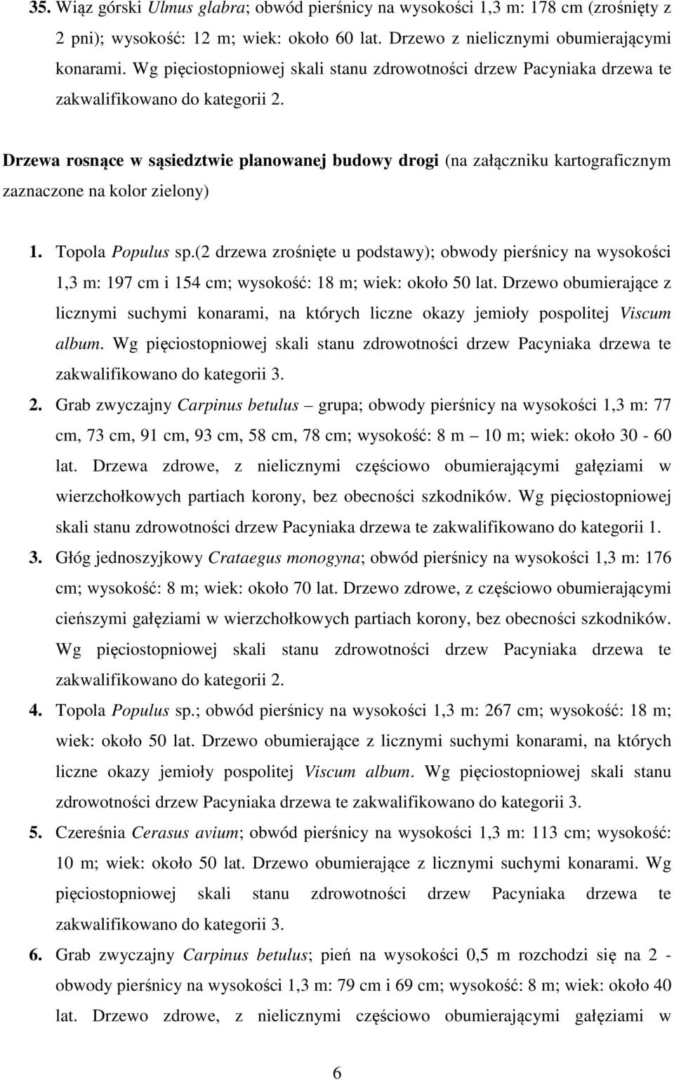 Drzewa rosnące w sąsiedztwie planowanej budowy drogi (na załączniku kartograficznym zaznaczone na kolor zielony) 1. Topola Populus sp.