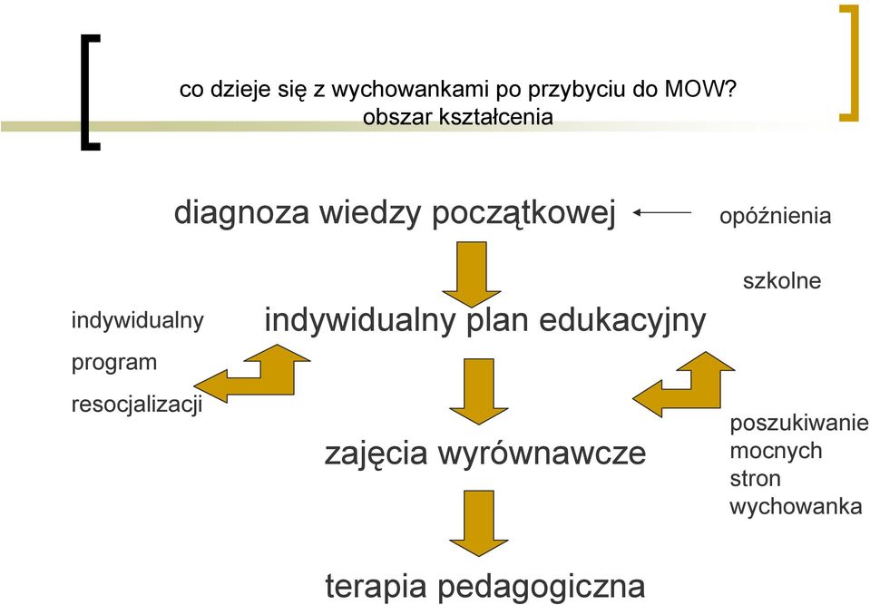 indywidualny program resocjalizacji indywidualny plan edukacyjny