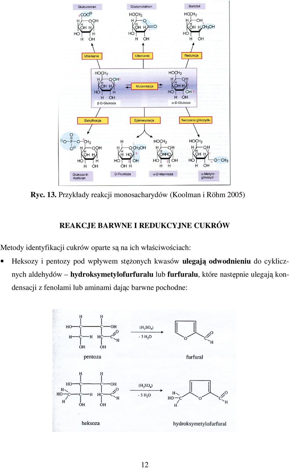 Metody identyfikacji cukrów oparte są na ich właściwościach: Heksozy i pentozy pod wpływem