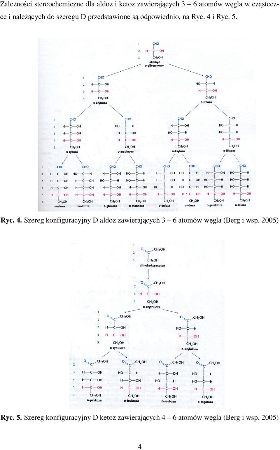 Ryc. 4. Szereg konfiguracyjny D aldoz zawierających 3 6 atomów węgla (Berg i wsp.