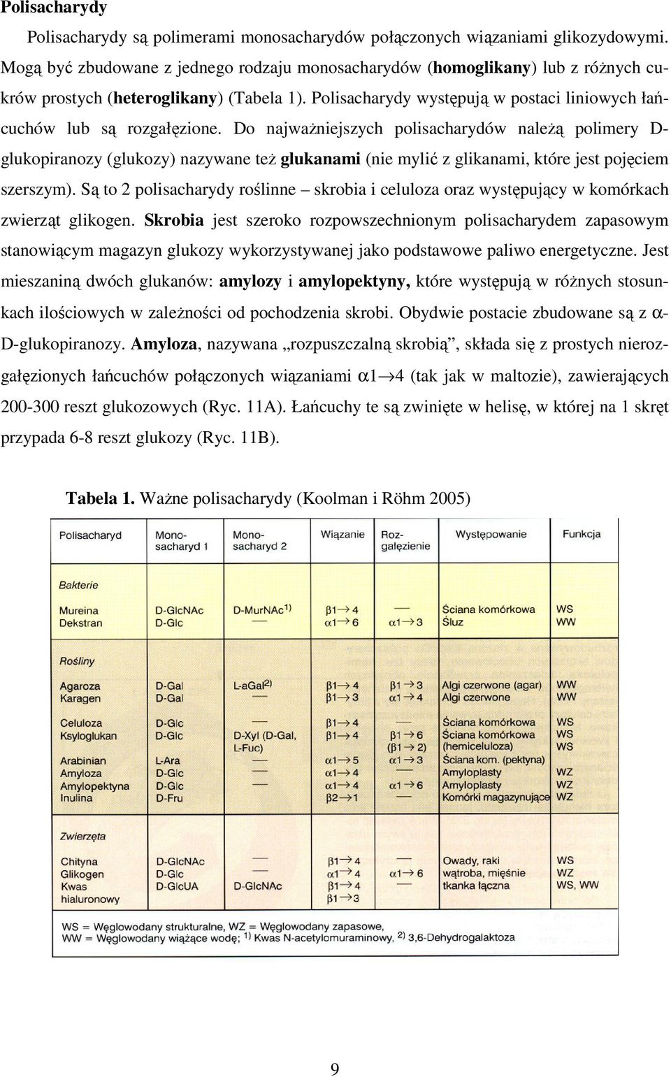 Do najważniejszych polisacharydów należą polimery D- glukopiranozy (glukozy) nazywane też glukanami (nie mylić z glikanami, które jest pojęciem szerszym).