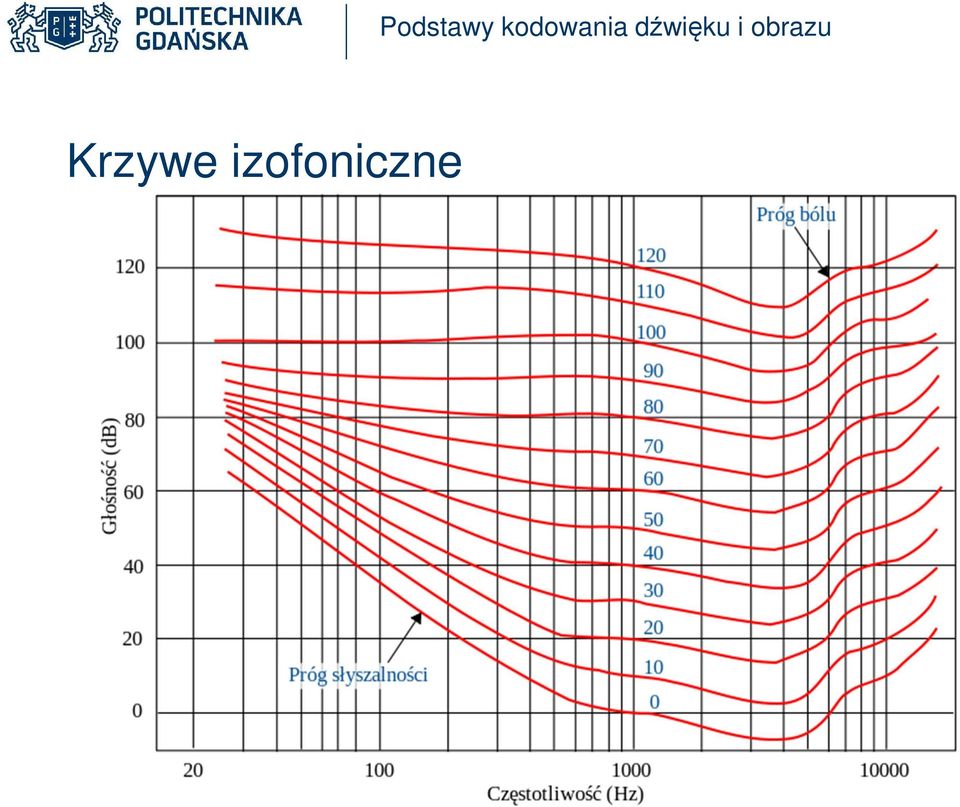 Podstawy