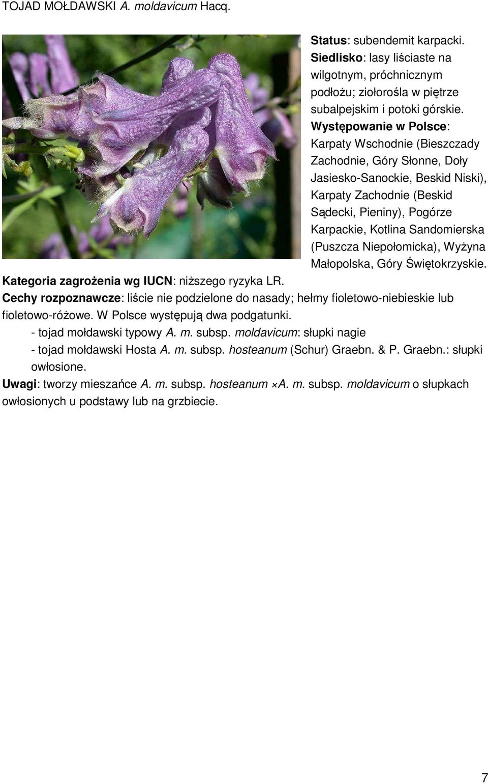 Sandomierska (Puszcza Niepołomicka), WyŜyna Małopolska, Góry Świętokrzyskie. Kategoria zagroŝenia wg IUCN: niŝszego ryzyka LR.