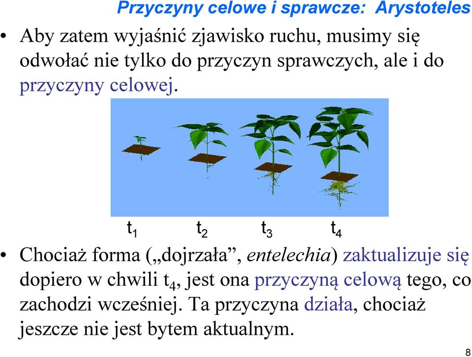 t 1 t 2 t 3 t 4 Chociaż forma ( dojrzała, entelechia) zaktualizuje się dopiero w chwili t 4,