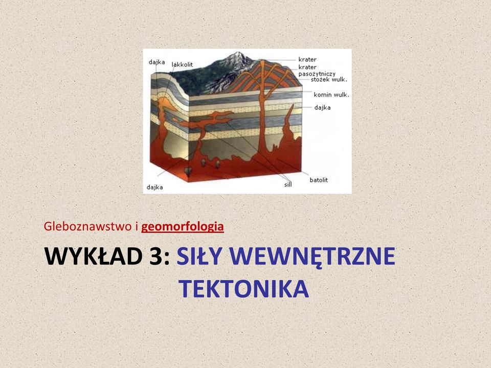 WYKŁAD 3: SIŁY