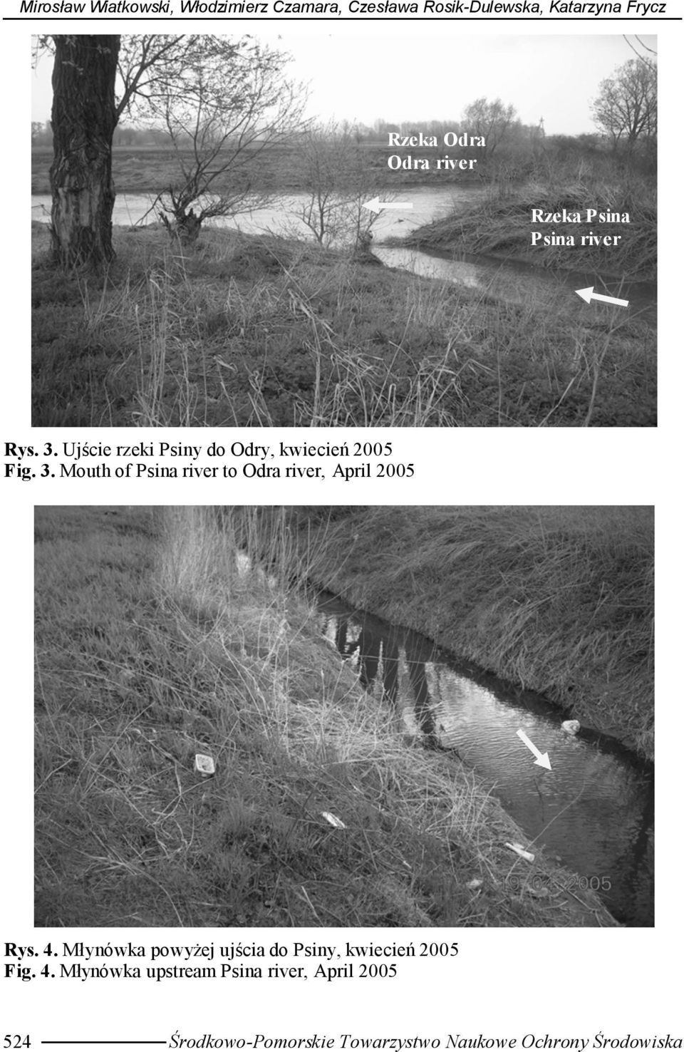 4. Młynówka powyżej ujścia do Psiny, kwiecień 2005 Fig. 4.