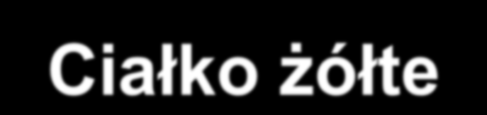 Ciałko żółte minigruczoł wewnęterznego wydzielania Hormony sterydowe Hormony białkowe