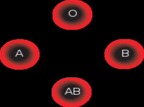 Zasady krwiolecznictwa Ogólny schemat zgodności grup krwi w układzie AB0.