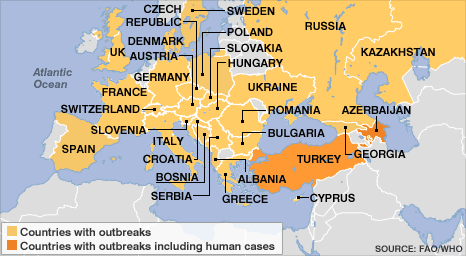 A H5N1 Pierwszy przypadek