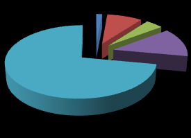 3% 3% 9% 10% 1 niedostateczny 2 mierny Warunki techniczne realizacji praktyk 75% 3 dostateczny 4 dobry 5 bardzo dobry Zgodność przebiegu