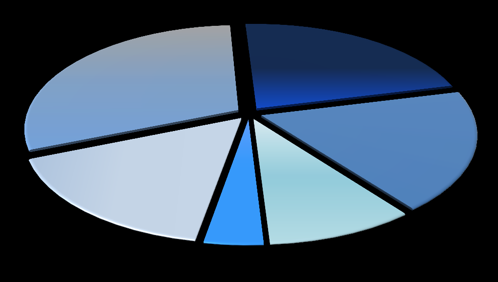 35 do 44 lat (22,1 %), 18 do 24 lat (16,1 %). Osoby młode (tj. od 18 do 34 lat) stanowiły łącznie 46,3 % ogółu osób bezrobotnych.