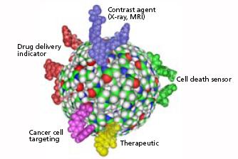 Nanocząstki i Nowotwory Składnik do analizy (X-ray, MRI) Wskaźnik dostarczający lek Czujnik martwej komórki Miejsce przyłączenia do komórki rakowej