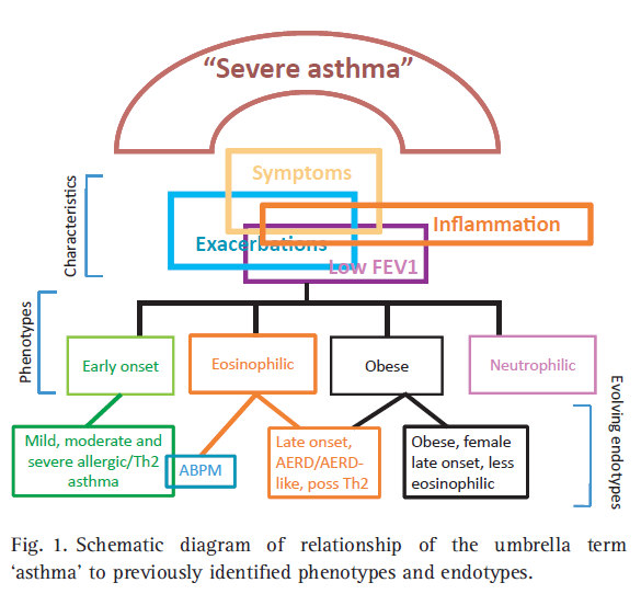 MK Fenotypy astmy ciężkiej