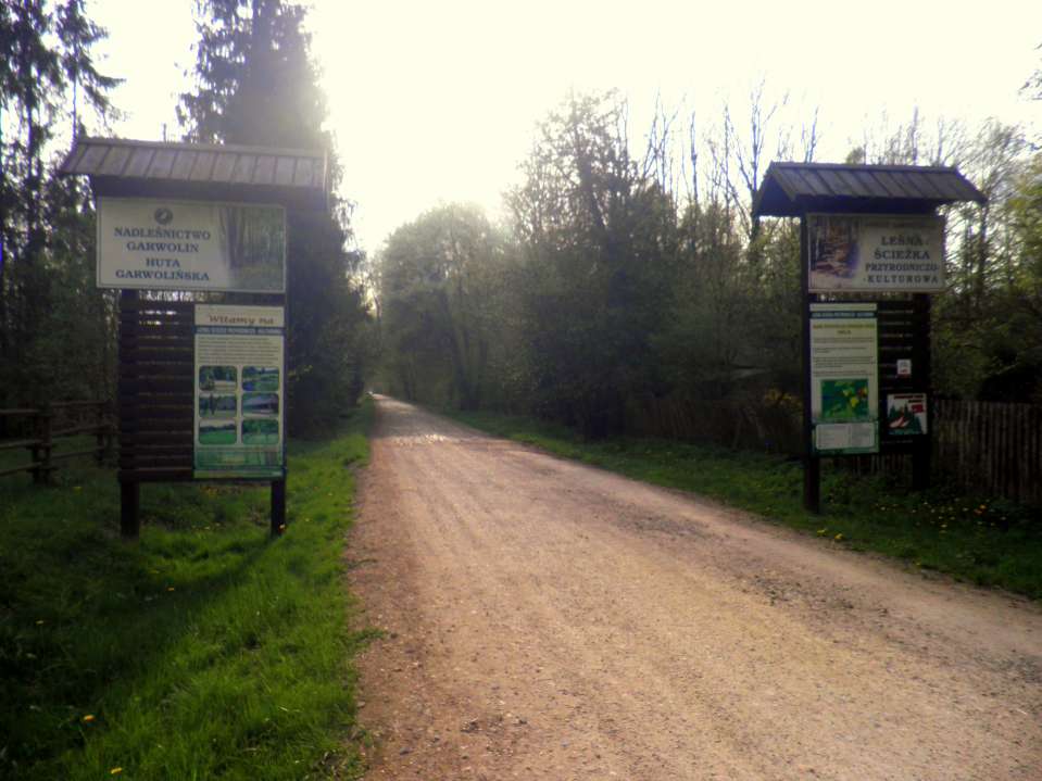 Ścieżka ekologiczna Leśna ścieżka przyrodniczo - kulturowa położona jest w Leśnictwie Huta Garwolińska na terenie najpiękniejszych lasów powiatu garwolińskiego.