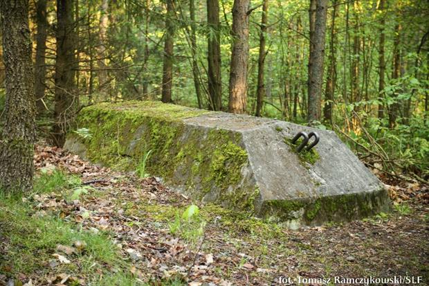 Ciekawostka historyczna na trasie niebieskiej. Idąc trasą niebieską przy tablicy Rys historyczny znajdują się betonowe podesty. Do czego one służyły?