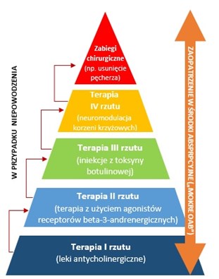 Diagnostyka oraz rekomendowanych schemat leczenia OAB Jak czytamy w raporcie Pacjent z NTM w systemie opieki zdrowotnej 2015, dzięki trzem pozytywnym rekomendacjom Agencji Oceny Technologii