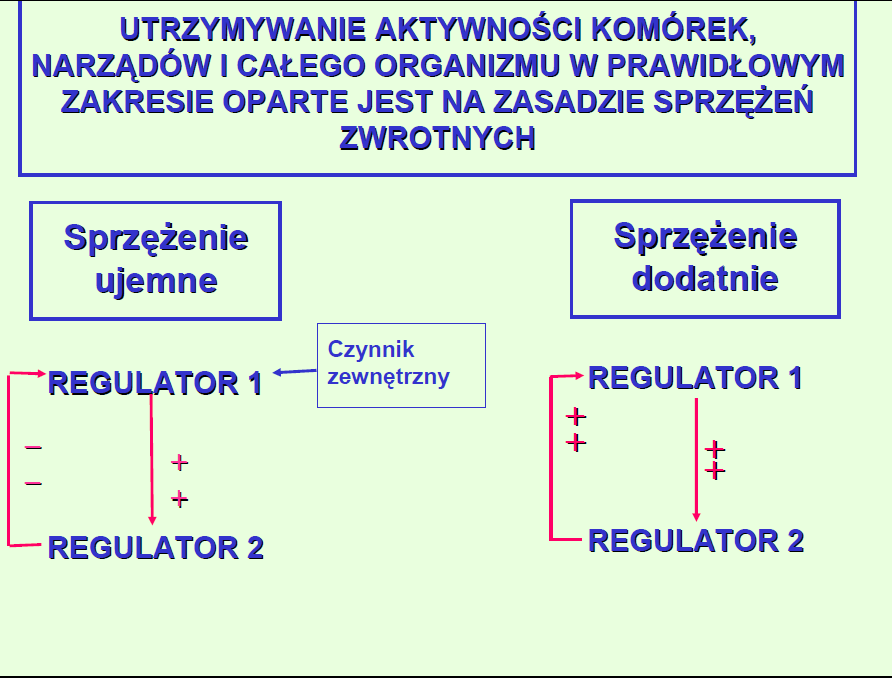 Może mieć charakter fizjologiczny np.