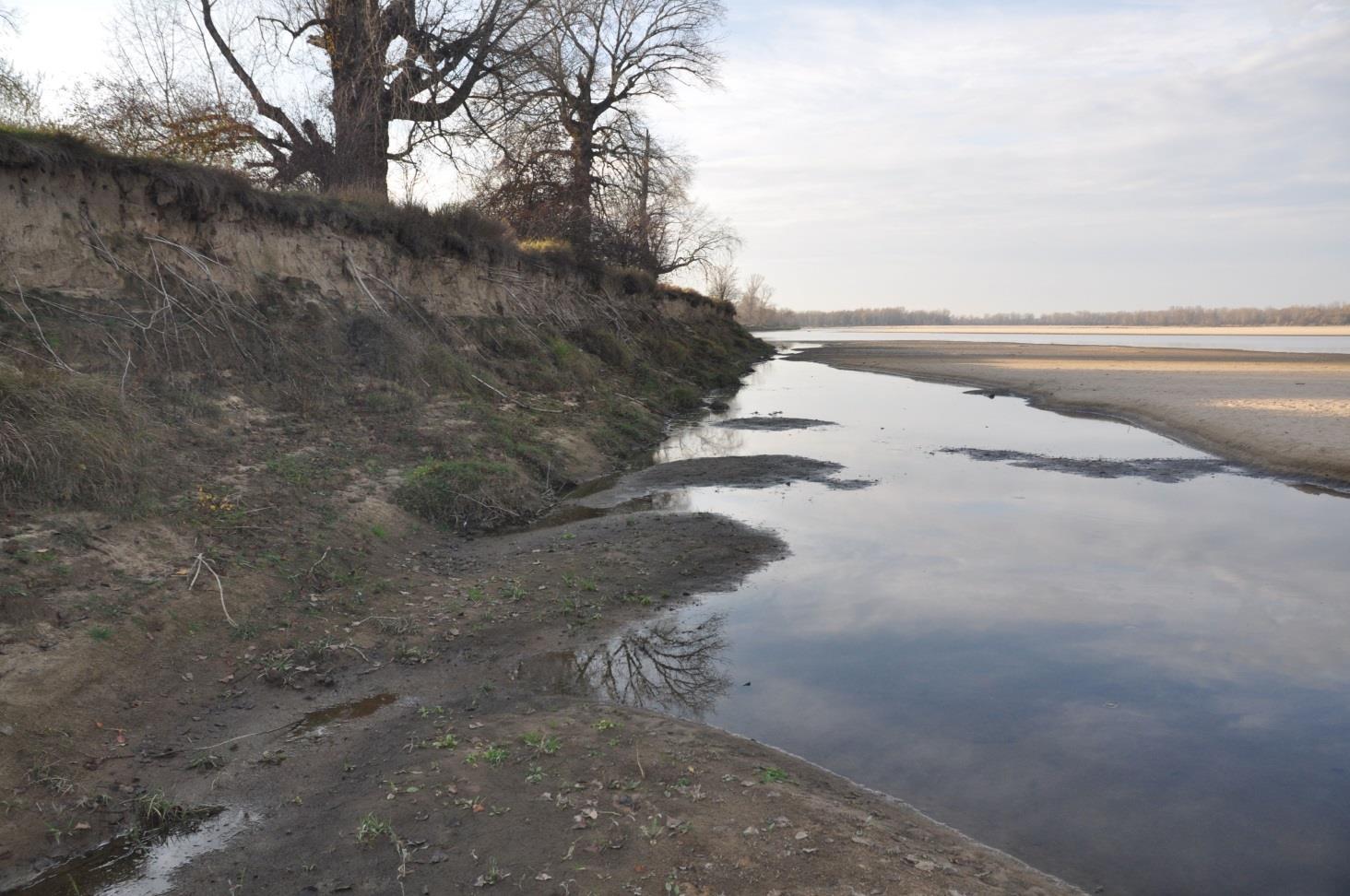 Liczba stanowisk monitoringowych oraz ich lokalizacja na tle obszarów Reprezentatywność wyników pod względem lokalizacji W roku 2013 wykonano monitoring 62 stanowisk, na których występowało siedlisko