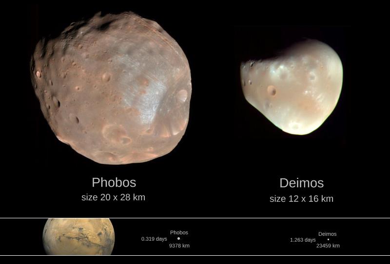 SATELITY MAŁYCH PLANET I PLANETEK Mars: Phobos i Deimos: budowa: asteroidy klasy C; orbity: w płaszczyźnie równikowej Marsa; powstanie:
