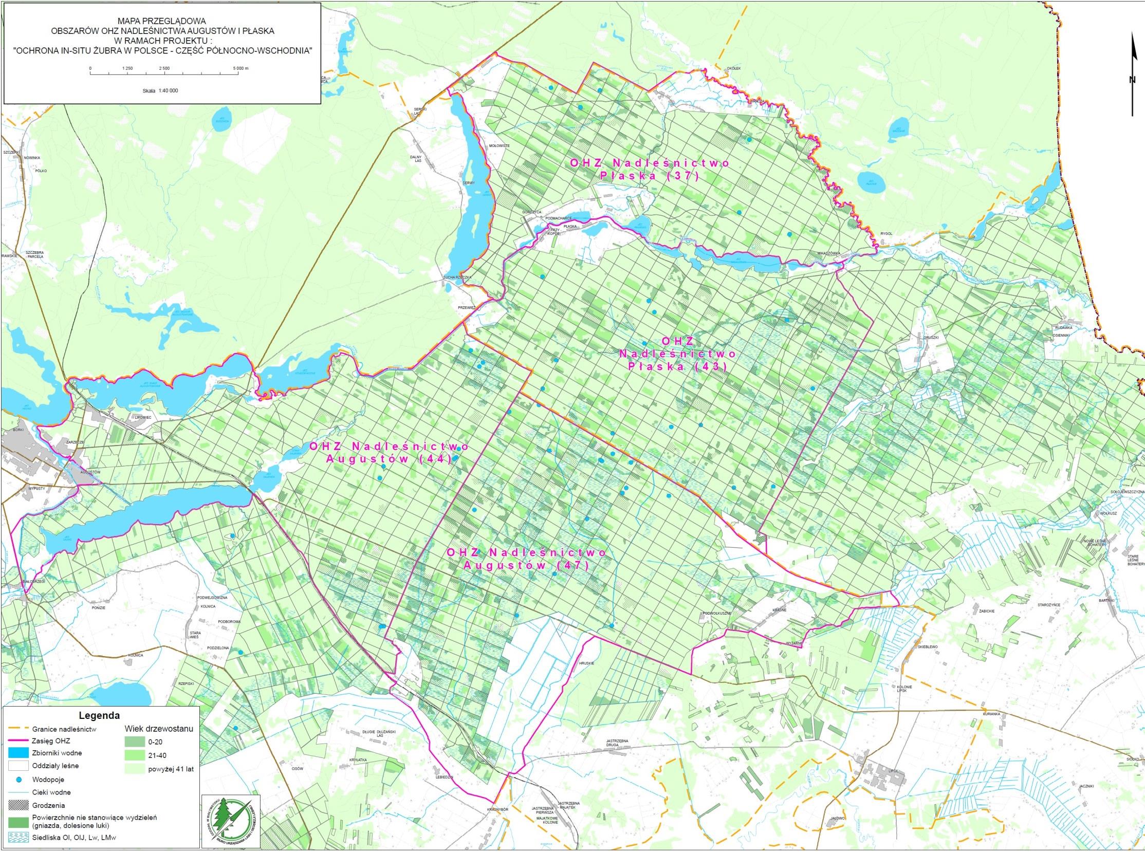 OHZ Nadleśnictwa Augustów 476 ha ogrodzonych 3,19% OHZ