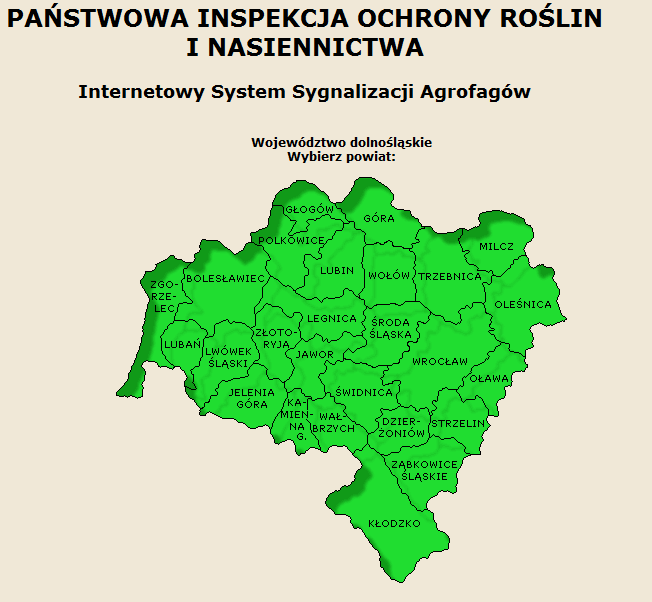 Kontrole zdrowotności regularne lustracje upraw w trakcie wegetacji sygnalizacja terminów pojawu