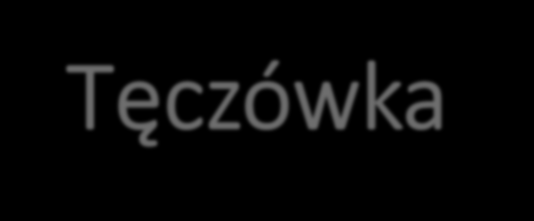 Tęczówka - ciekawostki Kształtuje się w ciągu dwóch pierwszych lat życia i nie zmienia do śmierci (poza nowotworem i uszkodzeniem mechanicznym), Ulega zniszczeniu w przeciągu 5 sekund po zgonie,