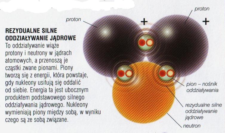 Oddziaływania silne 2006 Encyklopedia