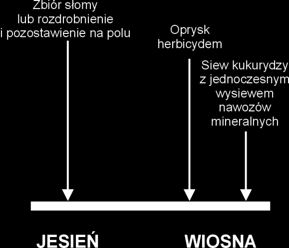 Podorywka (z wyjątkiem stanowisk po okopowych) Podorywka (po motylkowych, trawach, kukurydzy) Bronowanie (włókowanie na glebach zwięzłych)