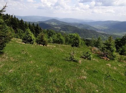 Grzbiet opadający z Jałowca (1111 m) w kierunku Suchej Beskidzkiej oddziela dwie głębokie doliny: dolinę Stryszawki i dolinę Skawicy.