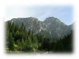 REGION KARPAT Karpaty należą do młodych gór i obszarowo są znacznie większe od innych regionów górskich.