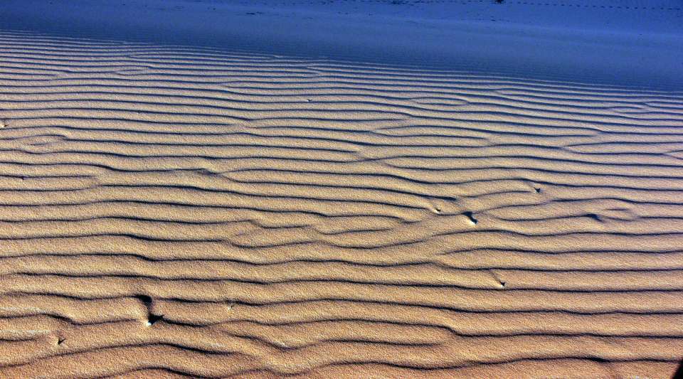 Ripplemarki zmarszczki na powierzchniach piaszczystych.